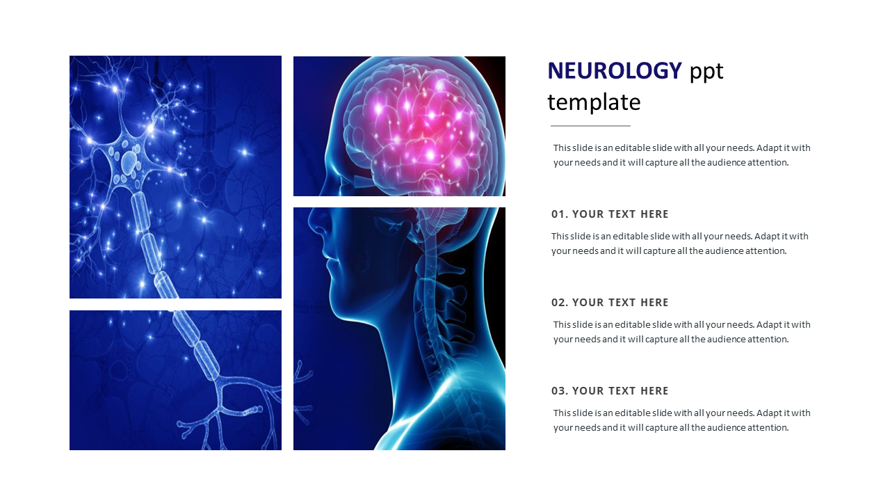 neurology ppt template design